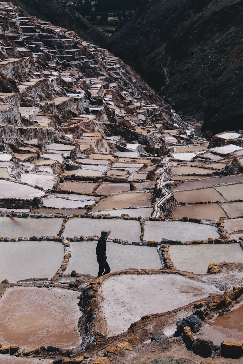person standing on brown rock formation during daytime